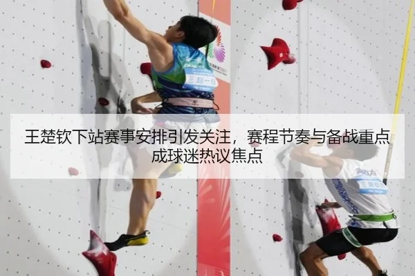 王楚钦下站赛事安排引发关注，赛程节奏与备战重点成球迷热议焦点